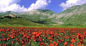 Castelluccio